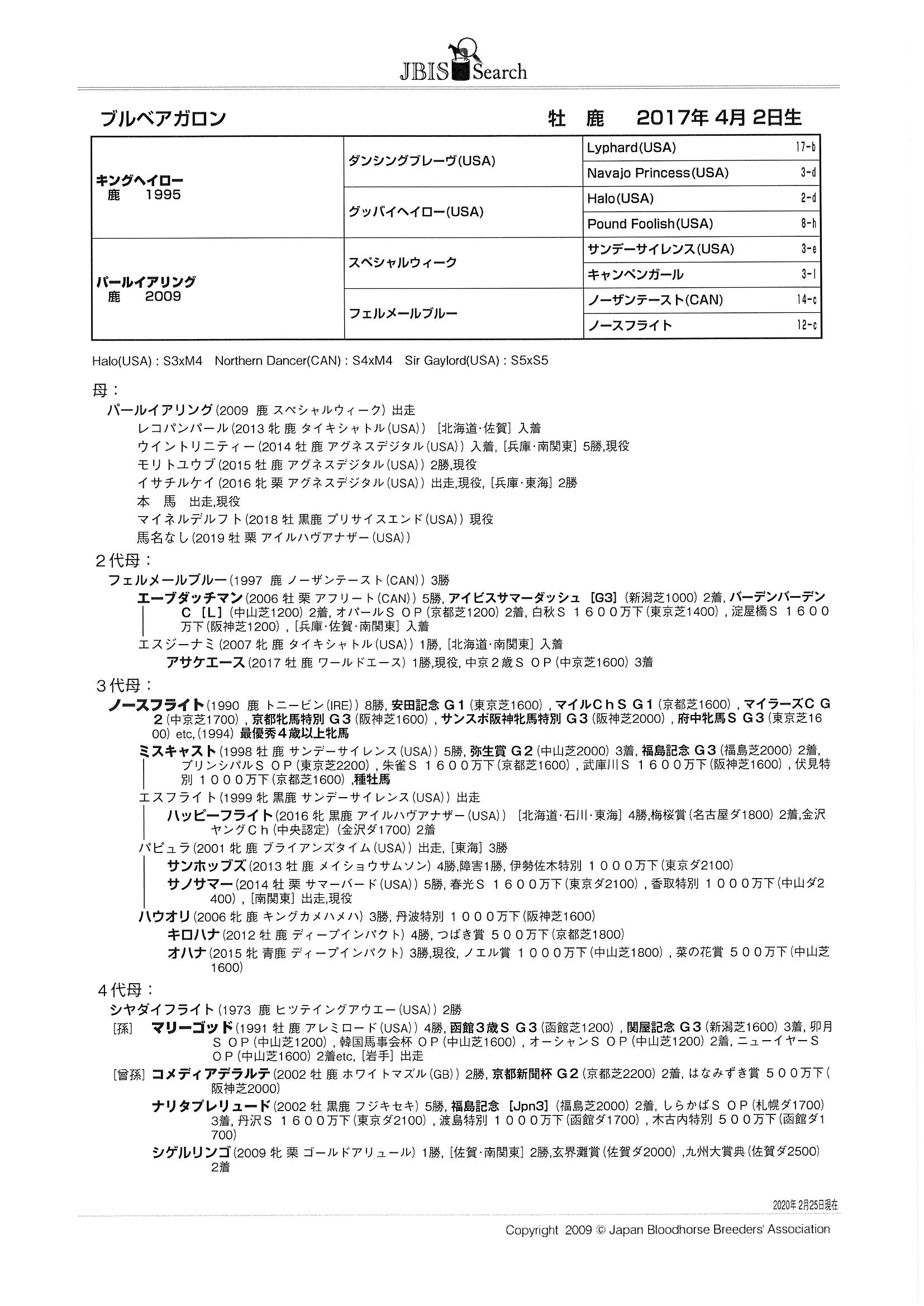 ノースフライト 単勝馬券 マイルチャンピオンシップ - 印刷物