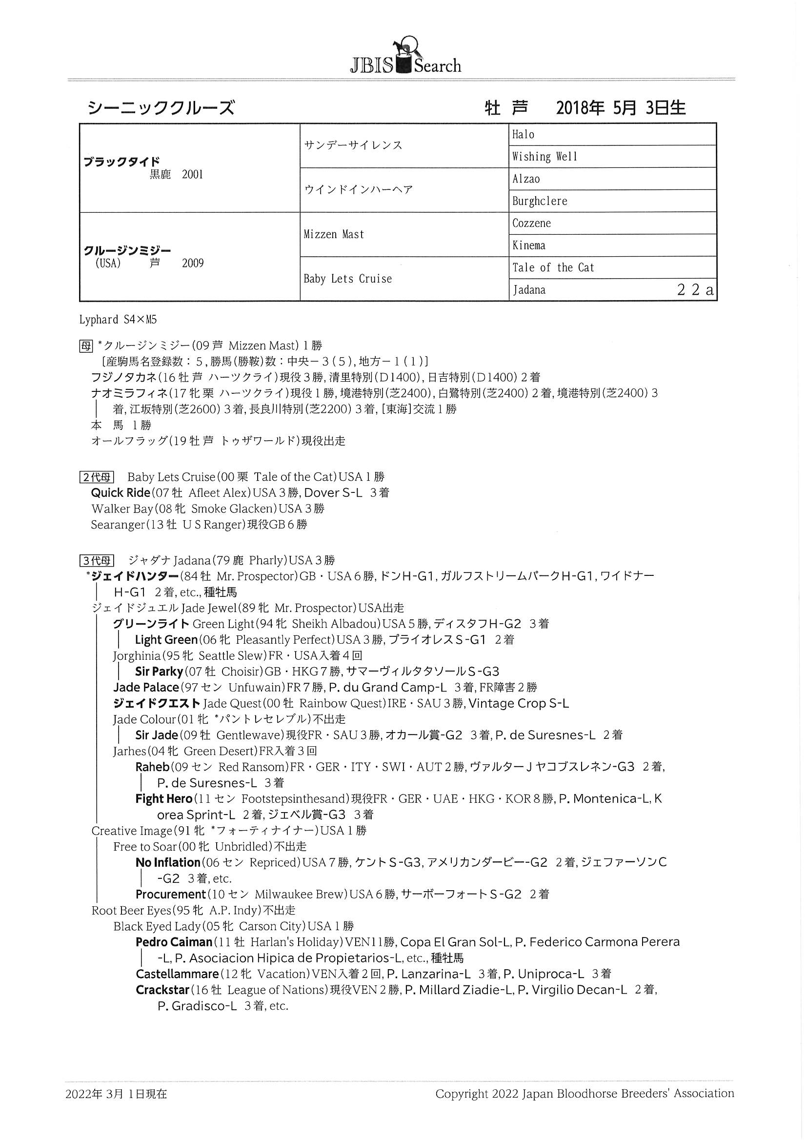 シーニッククルーズ Scenic Cruise 牡 4歳 ※中央競馬 登録抹消