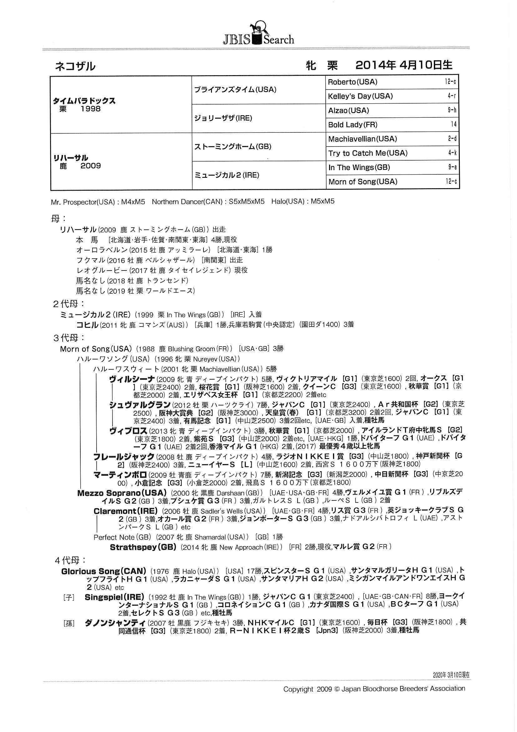 ネコザル Neko Zaru 牝 6歳 ※地方競馬 在籍 | サラブレッド