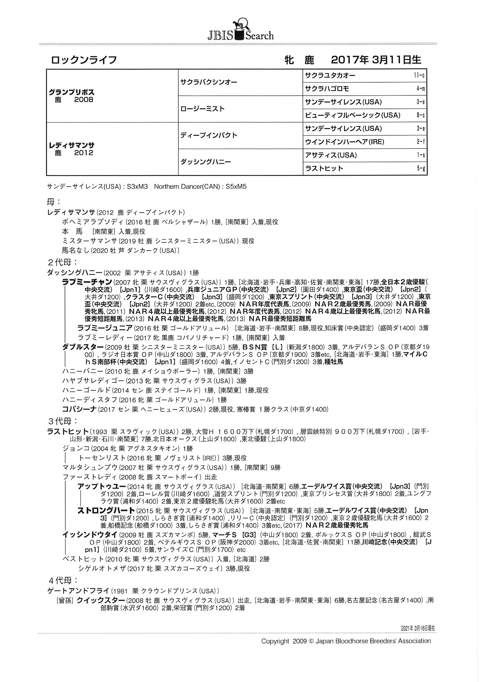 ロックンライフ Rock'n Life 牝 4歳 ※地方競馬 在籍
