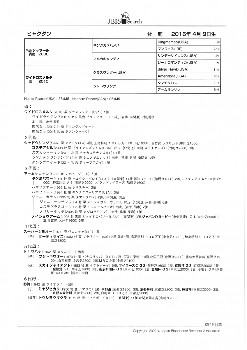 競馬新聞 ジャパンカップ1995年 - コレクション