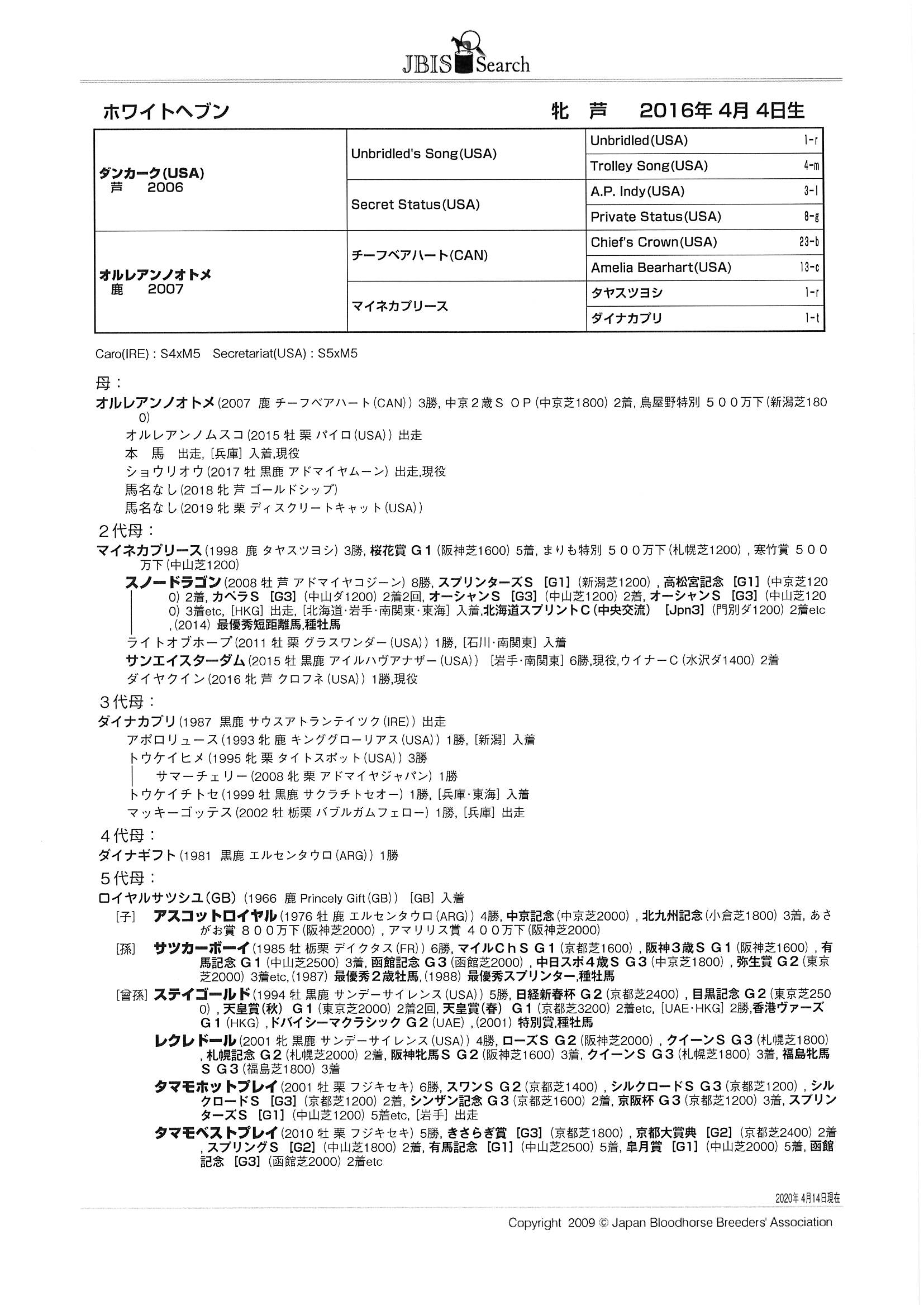 ホワイトヘブン White Heaven 牝 4歳 ※地方競馬 在籍
