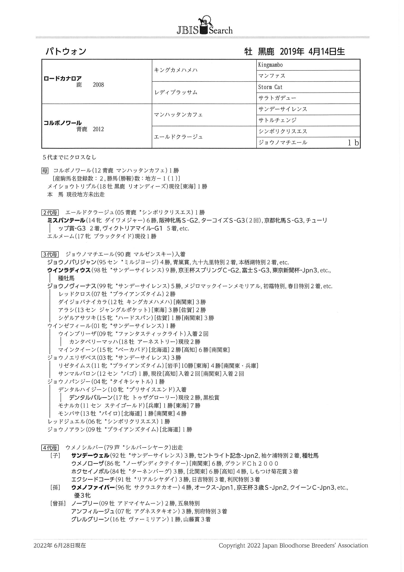 パトウォン Patwon 牡 3歳 ※地方競馬 在籍（未出走） | サラブレッド