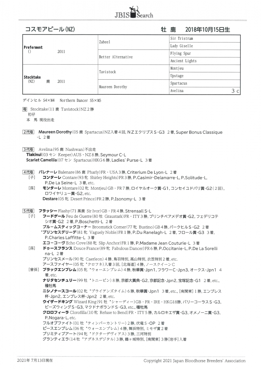 タイムセール3万値下　珍品　奄美多頭ソテツ　一点物　希少 くいしんぼ デンタルガム 骨型 小 8本 森光商店 (犬用おやつ