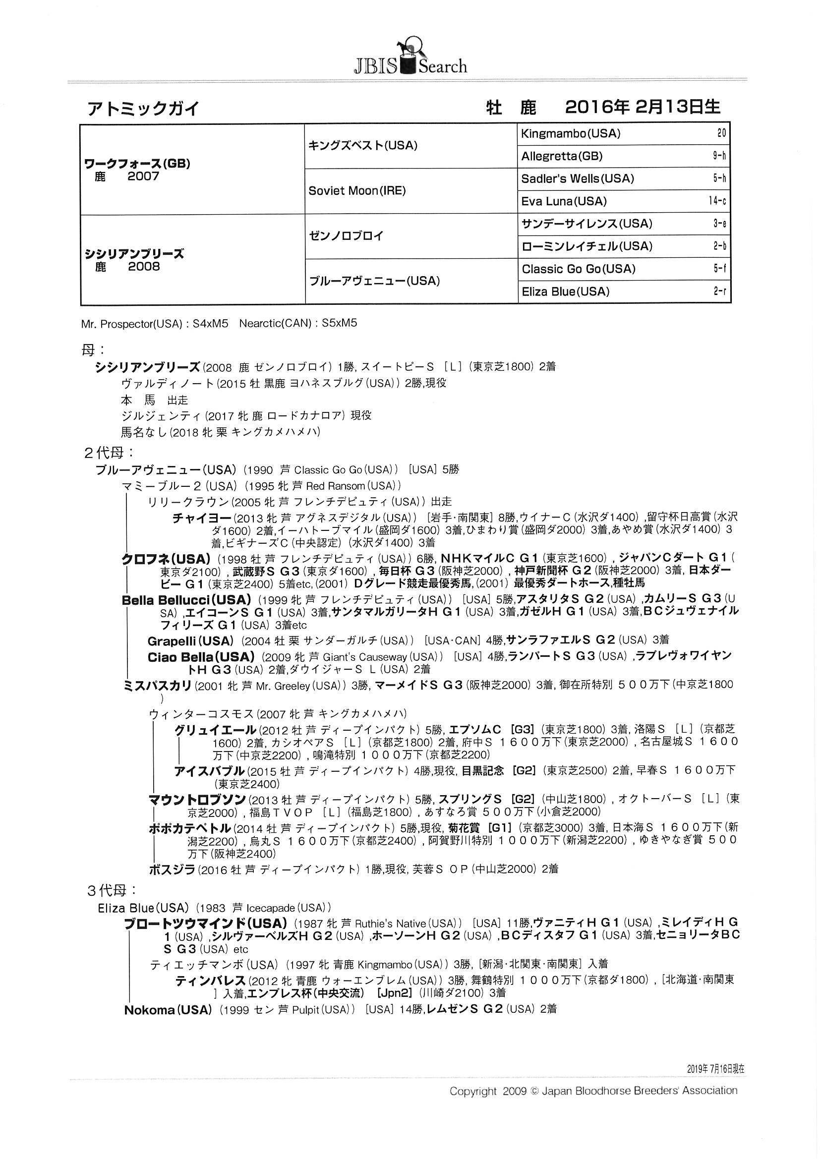 アトミックガイ Atomic Guy 牡 ３歳 ※中央競馬 登録抹消