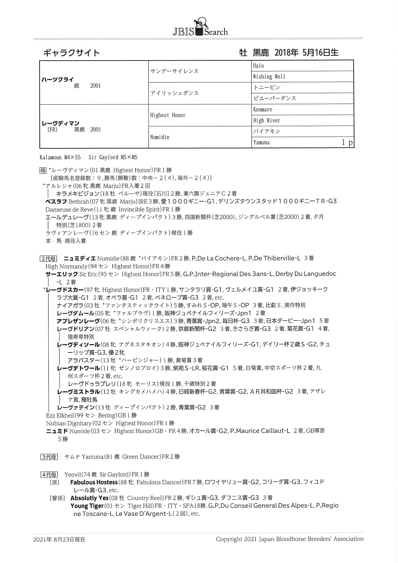 ギャラクサイト Galaxite 牡 3歳 ※中央競馬 登録抹消 | サラブレッドオークション
