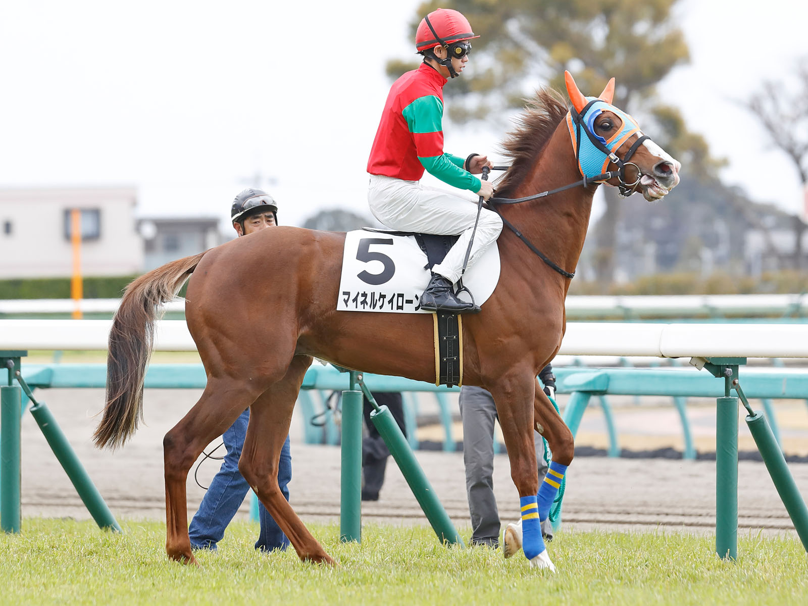 マイネルケイローン Meiner Cheiron 牡 3歳 ※中央競馬 登録抹消