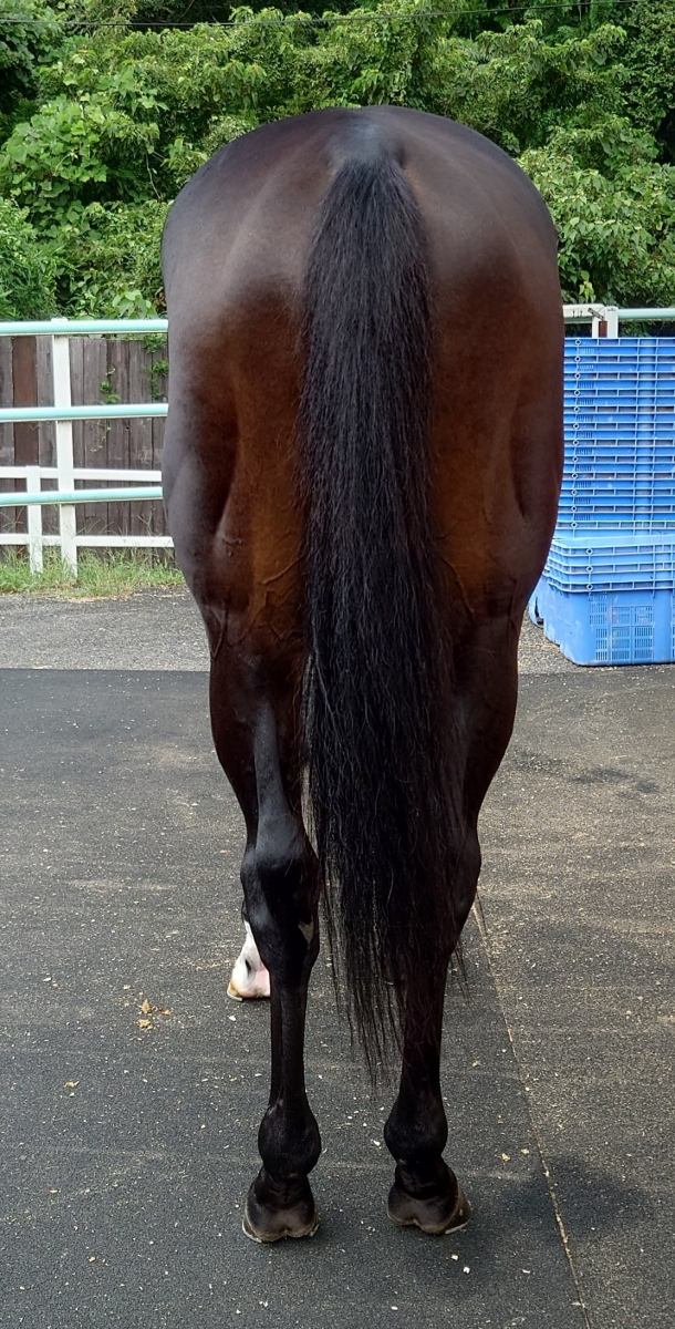 レア*送料込み グルーヴ プーリップ カレン 未開封 SPRiNG 2023年12月号増刊│宝島社の通販 宝島チャンネル