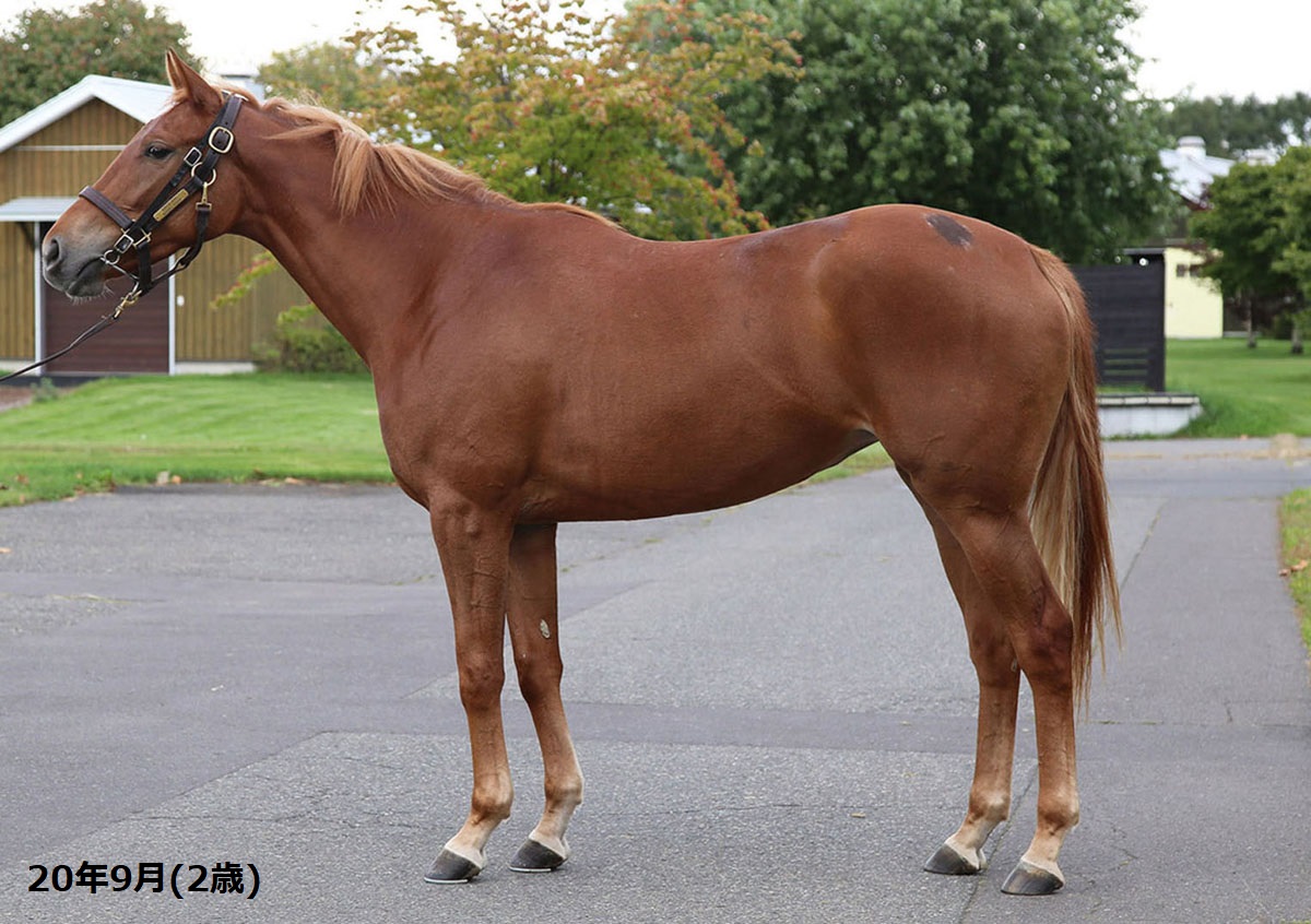 フィリアプロフィール必読　 フィリアプロフィール必読 フィリアプロフィール必読 List of