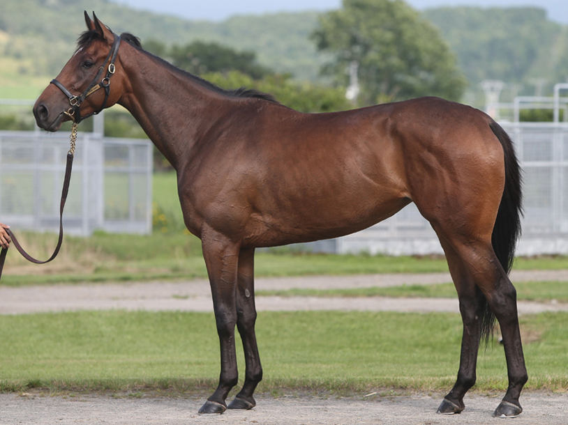 キャナルハート　Canal Heart　　牝　３歳　※中央競馬　登録抹消_main1