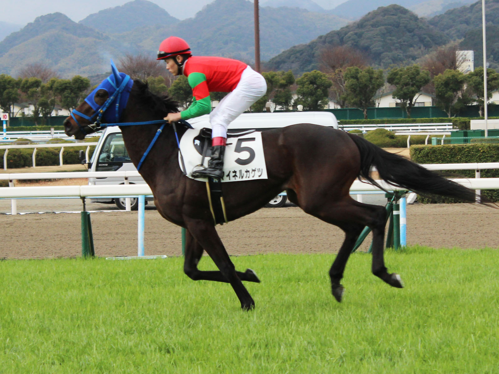 マイネルカゲツ Meiner Kagetsu 牡 3歳 ※中央競馬 登録抹消