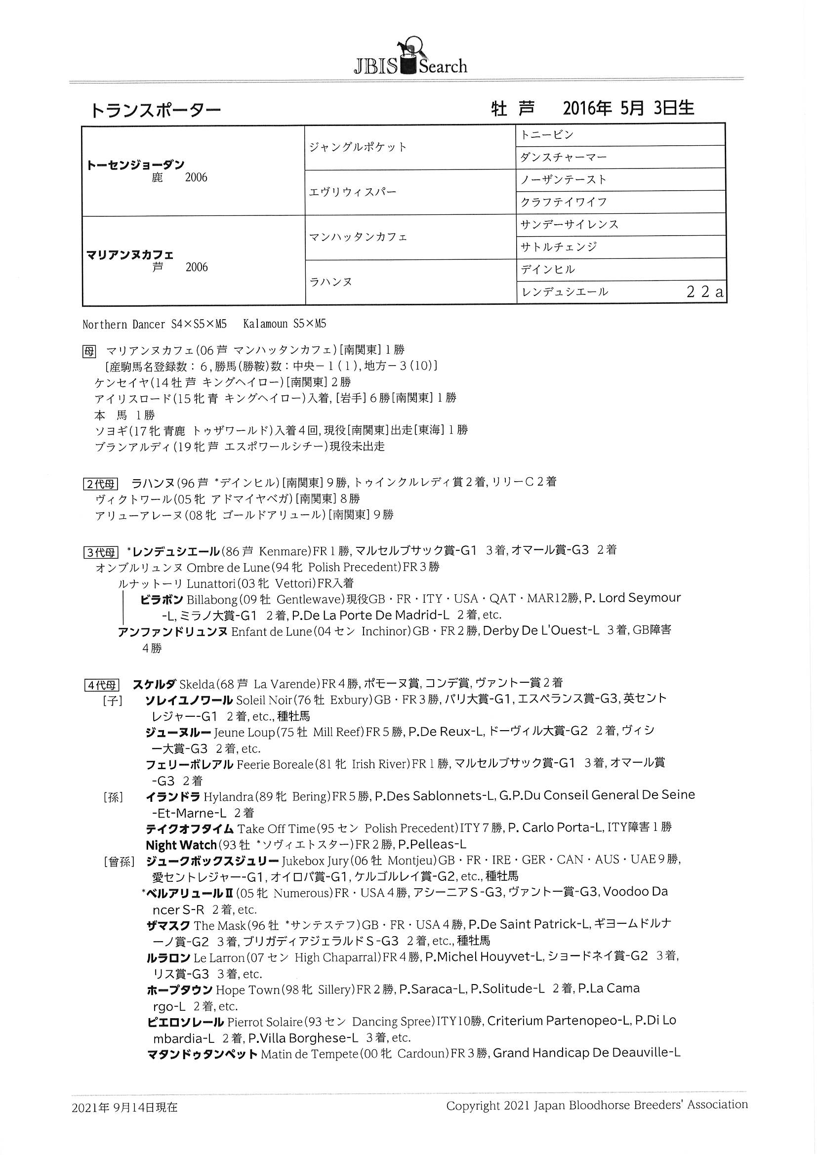 トランスポーター Transporter 牡 5歳 ※中央競馬 登録抹消