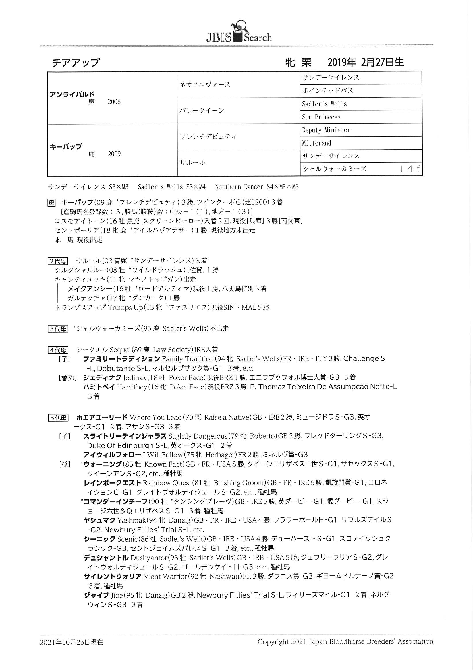 チアアップ Cheer Up 牝 ２歳 ※中央競馬 登録抹消 | サラブレッド