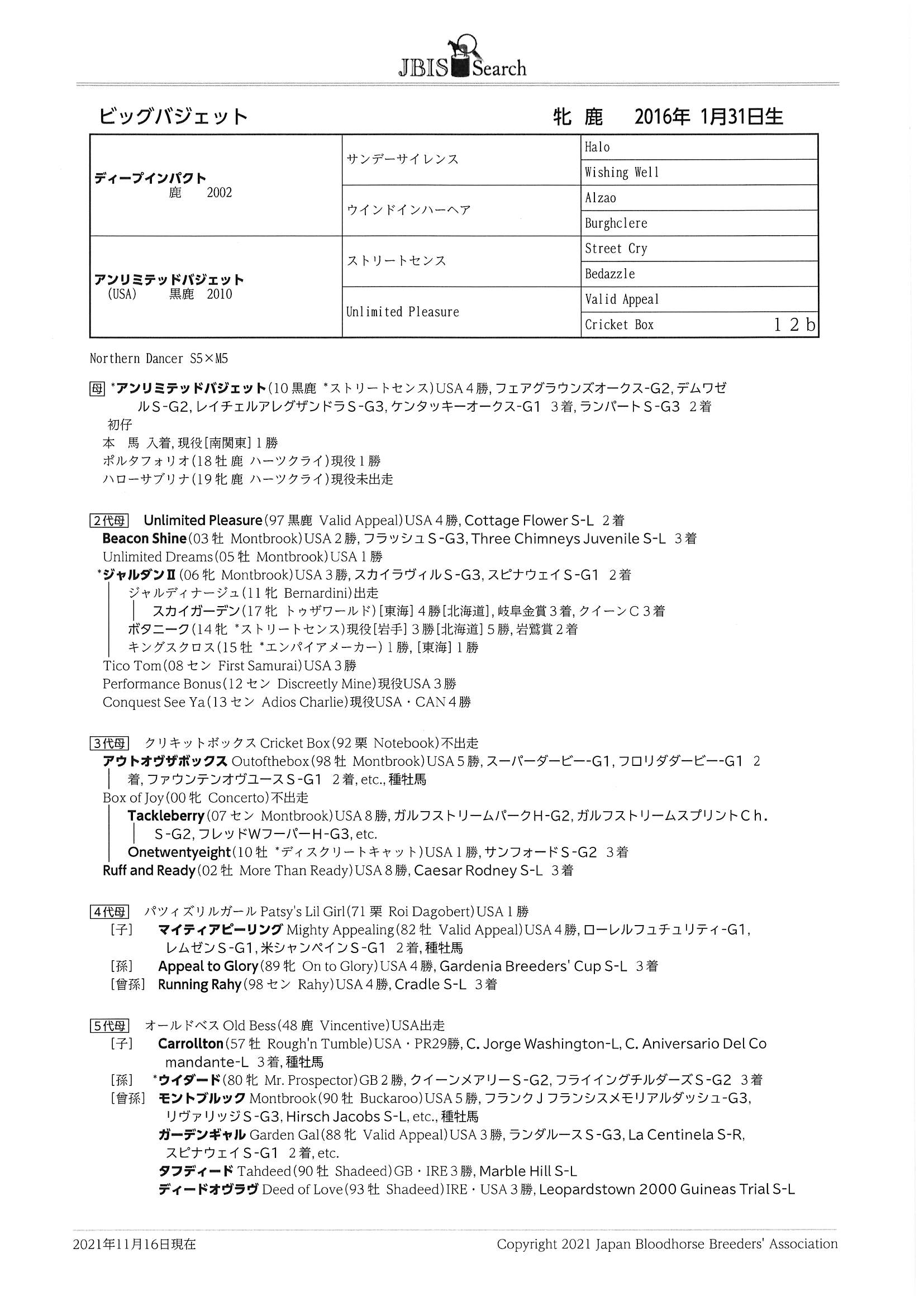 ビッグバジェット Big Budget 牝 ５歳 ※地方競馬 在籍 | サラブレッドオークション