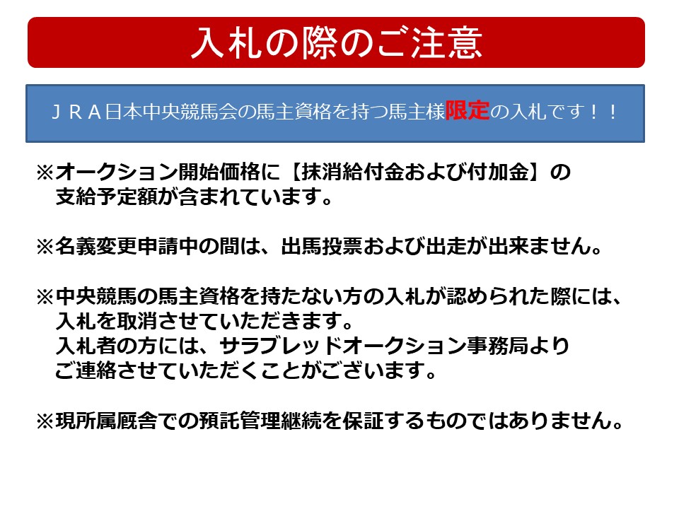 アポロリヤム Apollo Liam 牡 ３歳 ※中央競馬 在籍（３歳上１勝クラス 