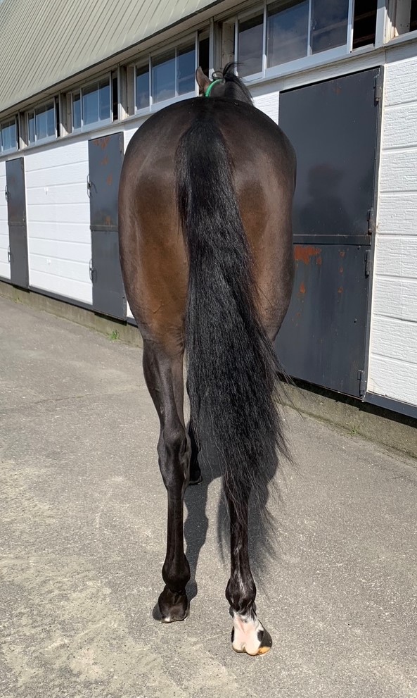 レア！古い相馬焼！早めにしないと売り切れるw レア！古い相馬焼！早めにしないと売り切れるw