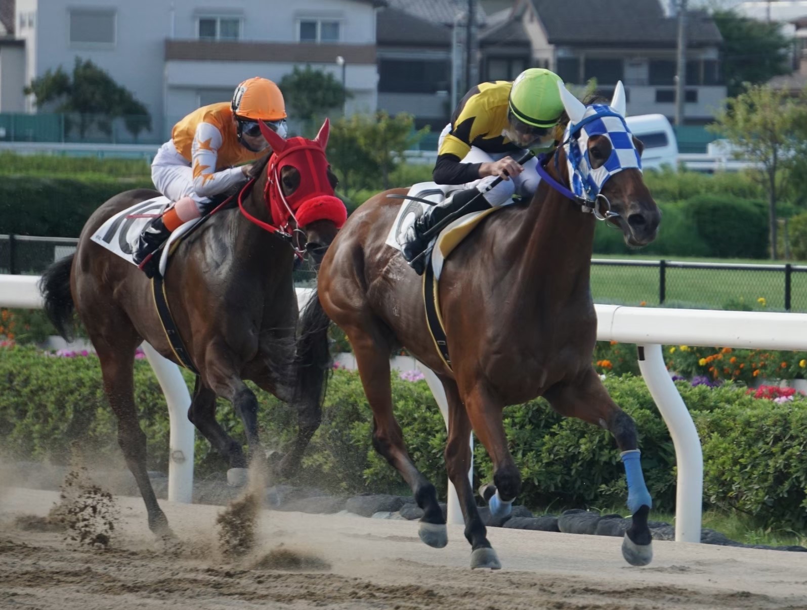 女性が喜ぶ♪ ◎競馬 馬 まとめ売り♪ ぬいぐるみ - provilan.com