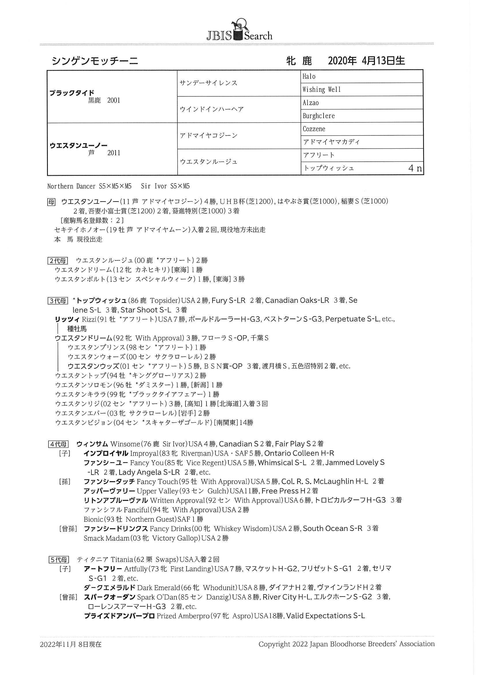 シンゲンモッチーニ Shingemmotchini 牝 2歳 ※中央競馬 登録 シンゲンモッチーニ Shingemmotchini 牝 2歳 ※中央競馬 登録