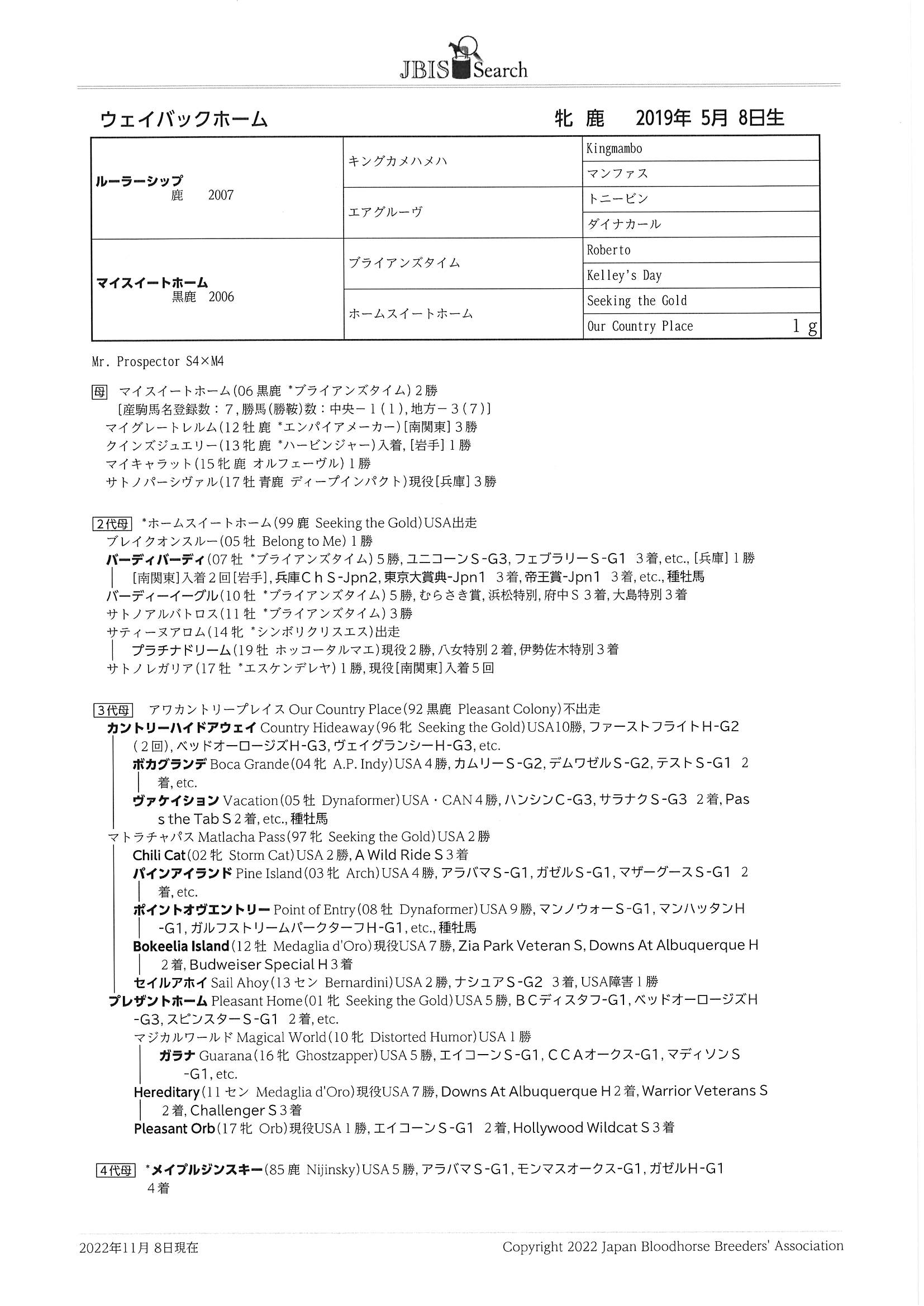 サンリヴァル 日本ダービー 馬券 - スポーツ