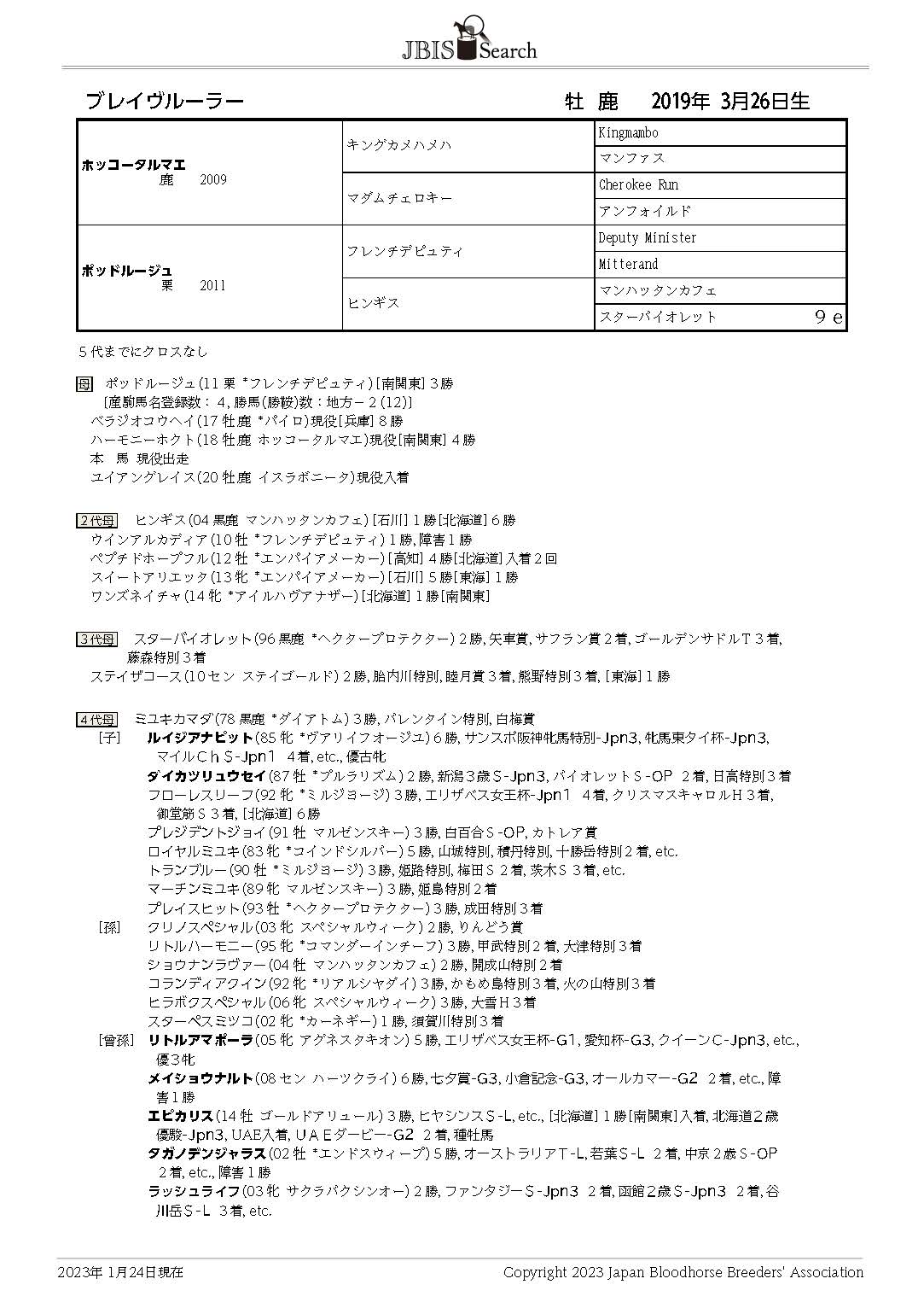 ブレイヴルーラー Brave Ruler 牡 4歳 ※中央競馬 登録抹消 | サラブレッドオークション