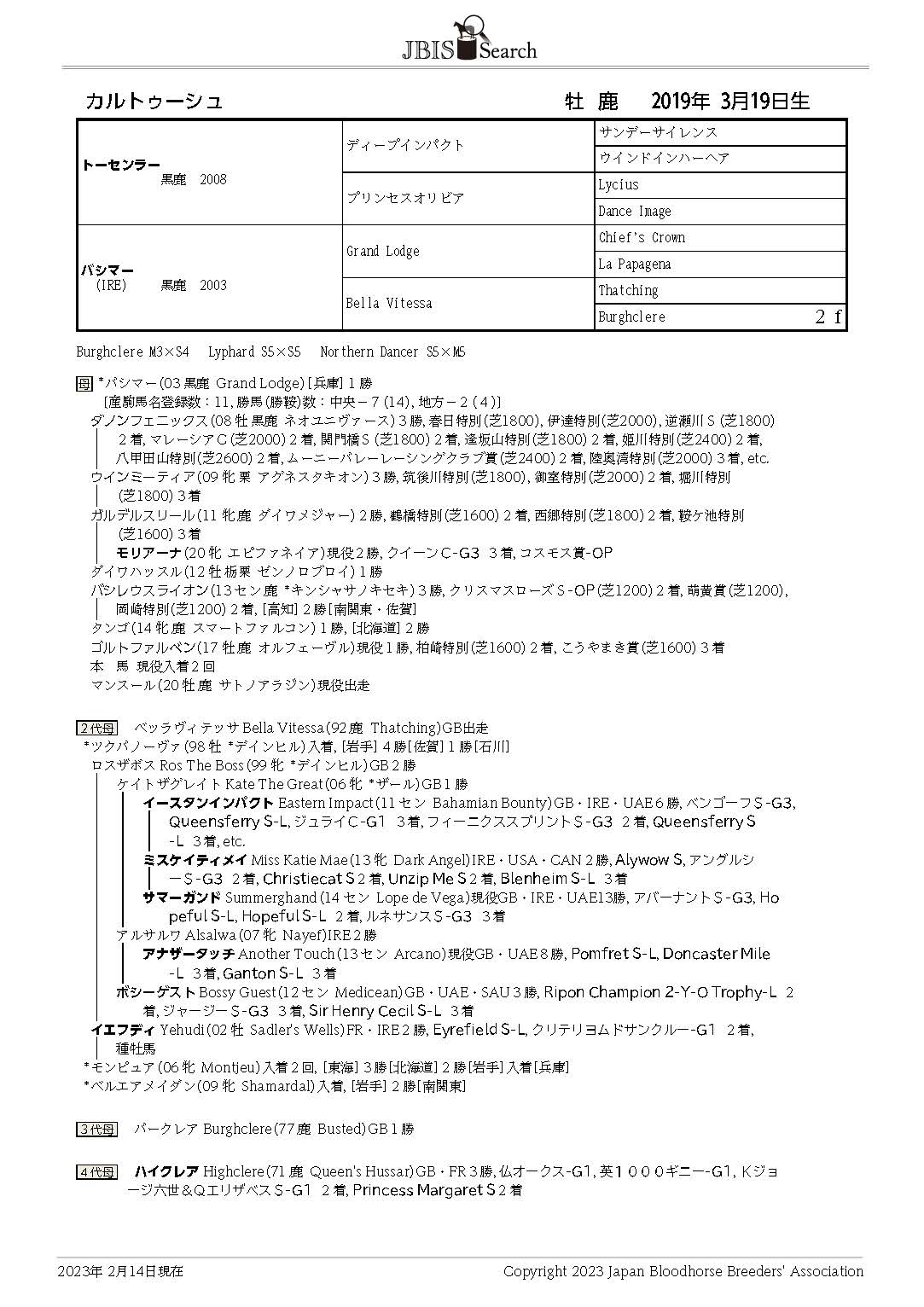 カルトゥーシュ Cartouche 牡 4歳 ※中央競馬 登録抹消 | サラブレッドオークション