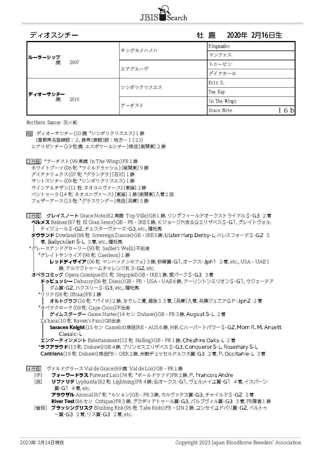 中央競馬G1レース 1995総集編DVD スポーツ・フィットネス