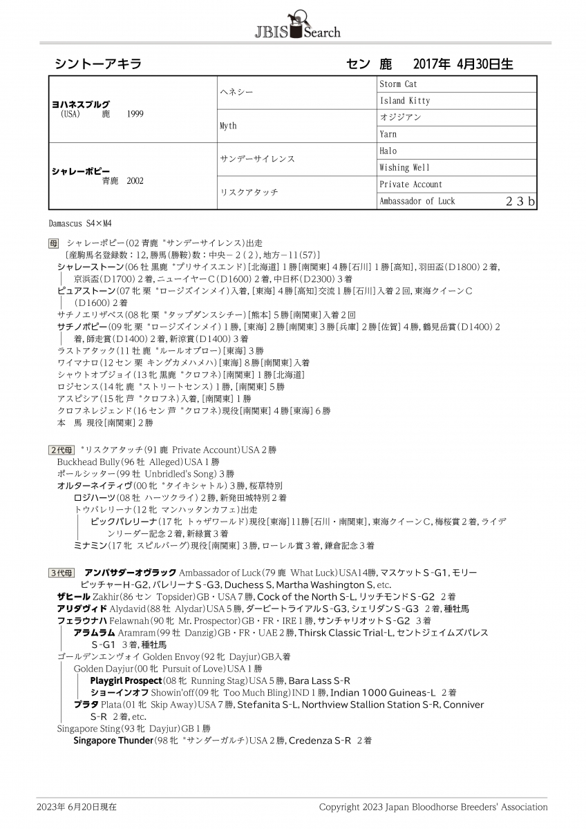 シントーアキラ Shinto Akira セン 6歳 ※地方競馬 在籍
