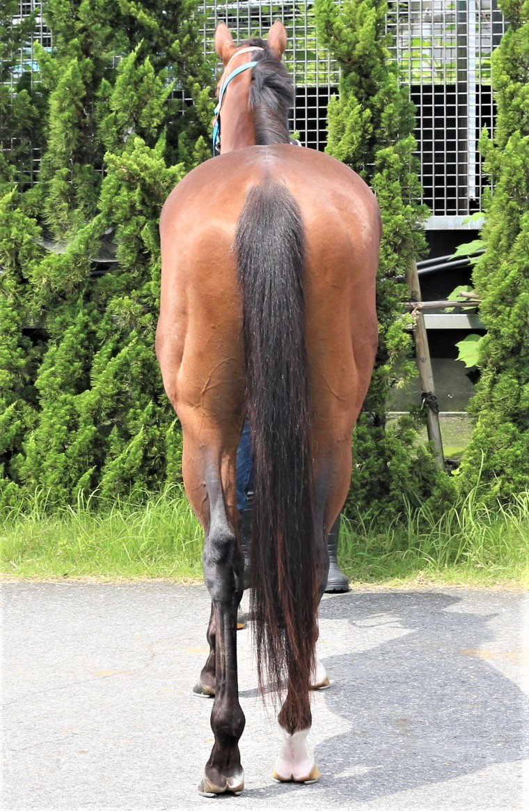 希少【競輪カレンダー】2005年～2010年 6点セット まとめ売り 未使用 NORIMASA FUJISAWA 2010年カレンダー付きフォトカード - メルカリ