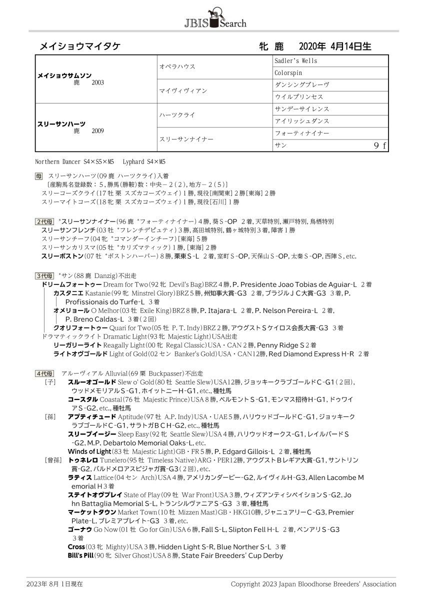 卸売 スポニチ 競馬欄 2006年 一年分 年度代表馬 ディープインパクト