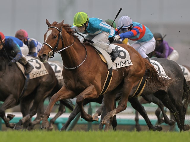 アイルビーザワン セン5歳 ※中央競馬 登録抹消 | サラブレッド