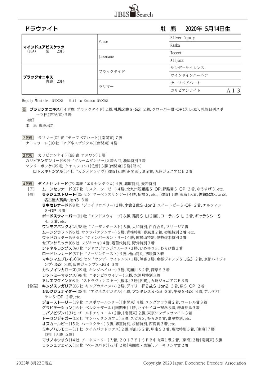 ドラヴァイト 牡3歳 ※中央競馬 登録抹消 | サラブレッド ドラヴァイト 牡3歳 ※中央競馬 登録抹消 | サラブレッド