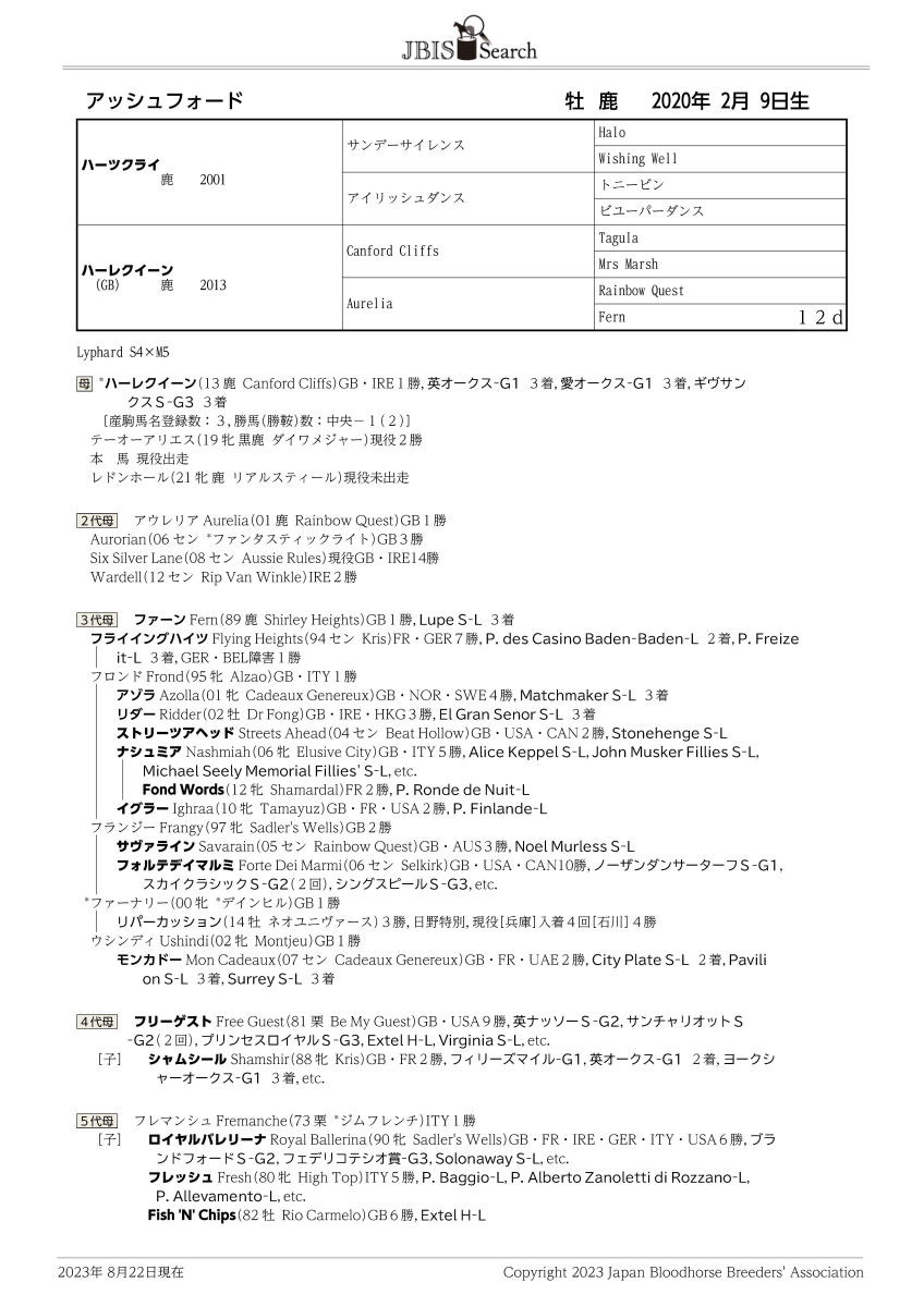 アッシュフォード 牡3歳 ※中央競馬 登録抹消 | サラブレッドオークション