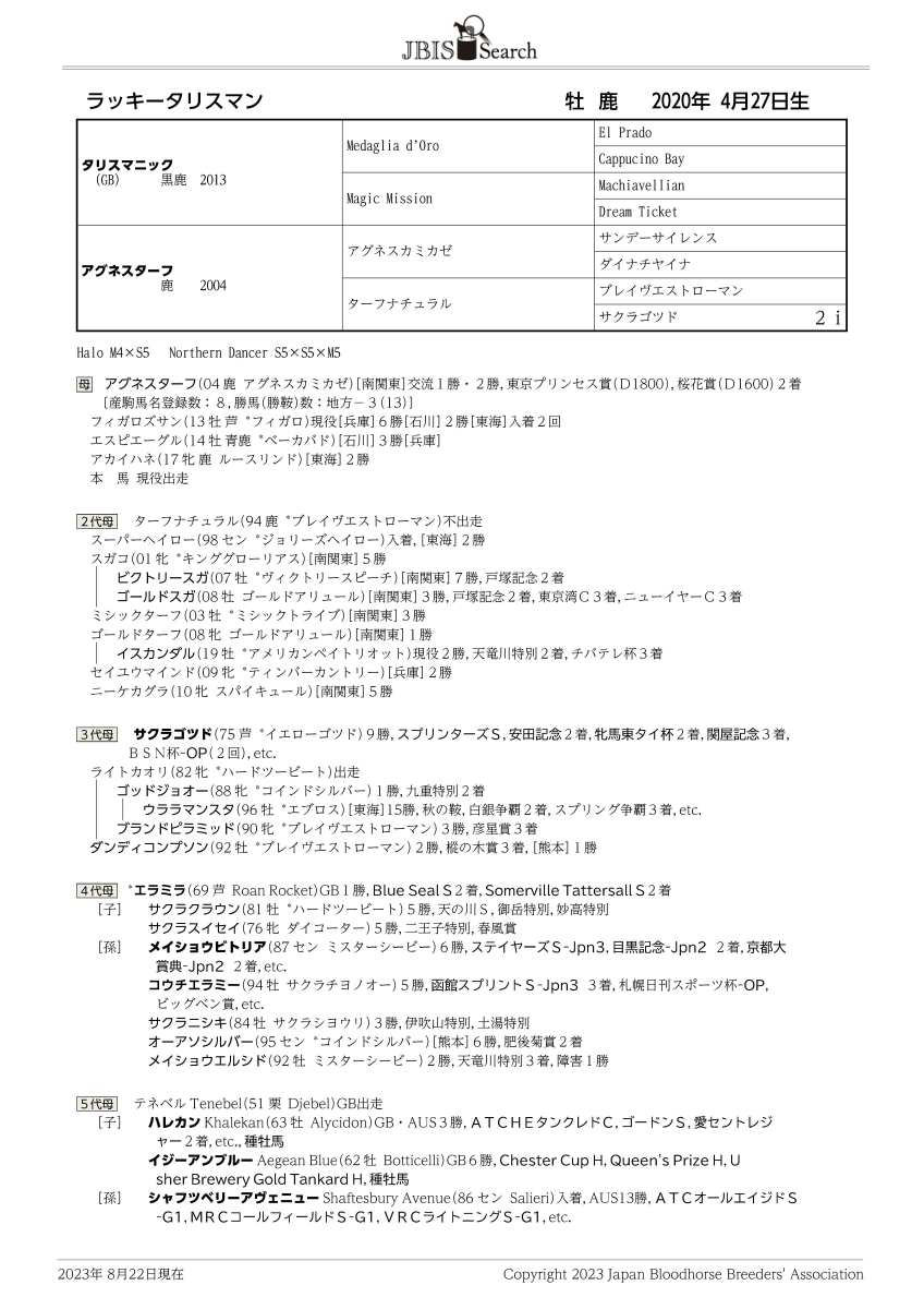 ラッキータリスマン 牡３歳 ※中央競馬 登録抹消 | サラブレッド