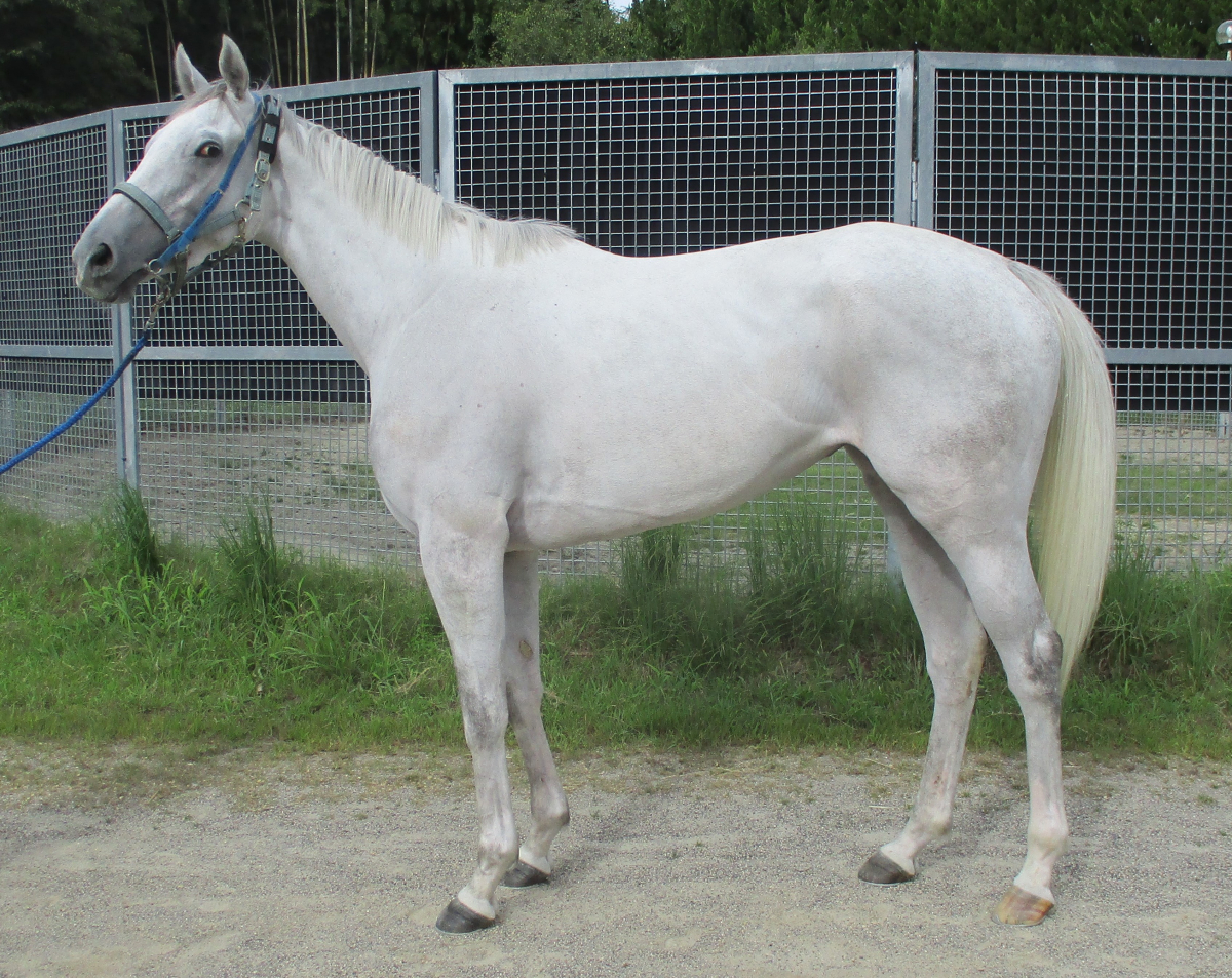 パオ　サロン展示品　新品　ラストお値下げスタート！！ Today's 20:00〜 Online Update 】 1990's 