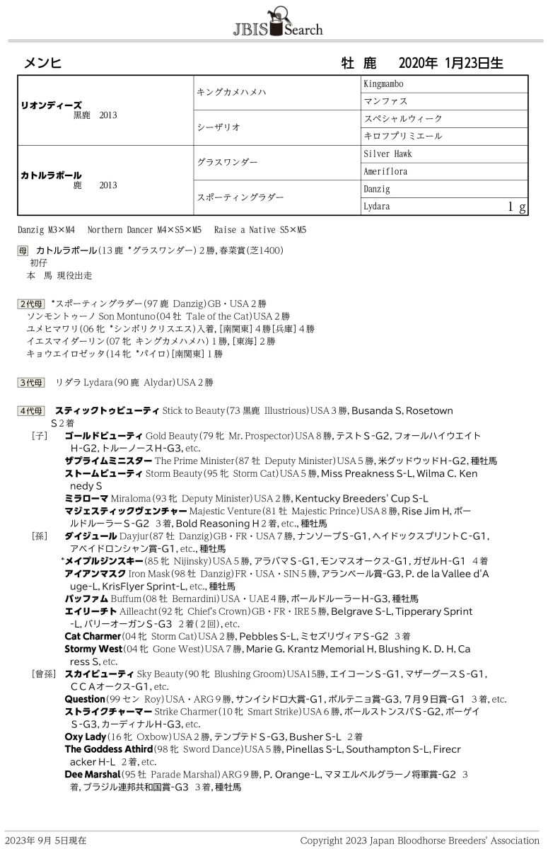 メンヒ 牡３歳 ※中央競馬 登録抹消 | サラブレッドオークション