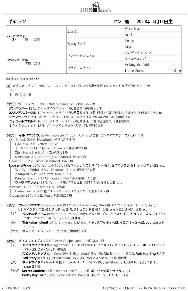 ギャラン セン3歳 ※中央競馬 登録抹消 | サラブレッドオークション