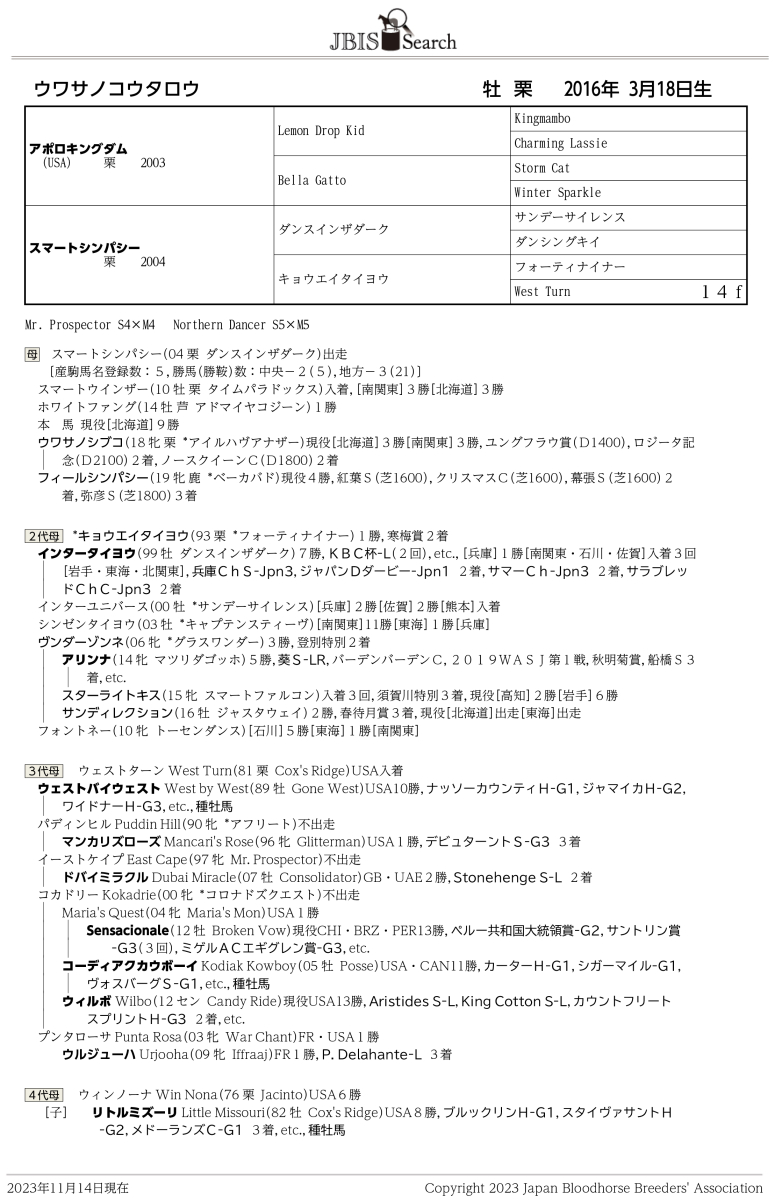ウワサノコウタロウ 牡7歳 ※地方競馬 在籍 | サラブレッド