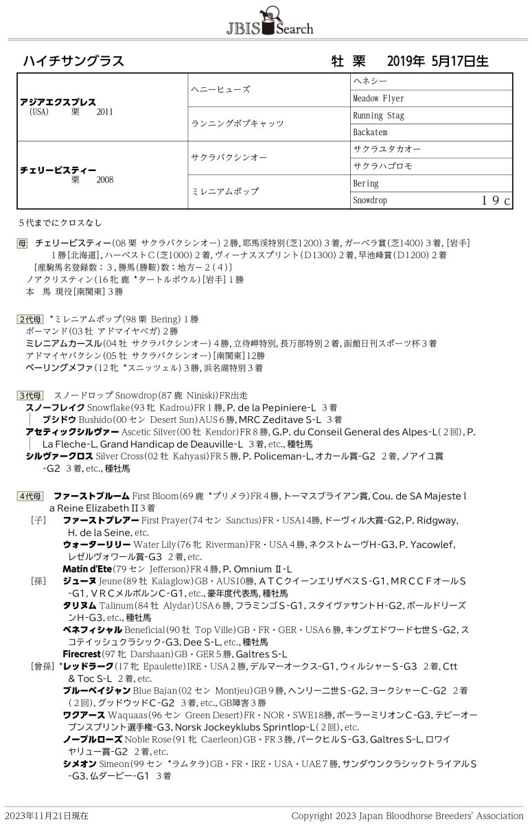ハイチサングラス 牡4歳 ※地方競馬 在籍 | サラブレッド