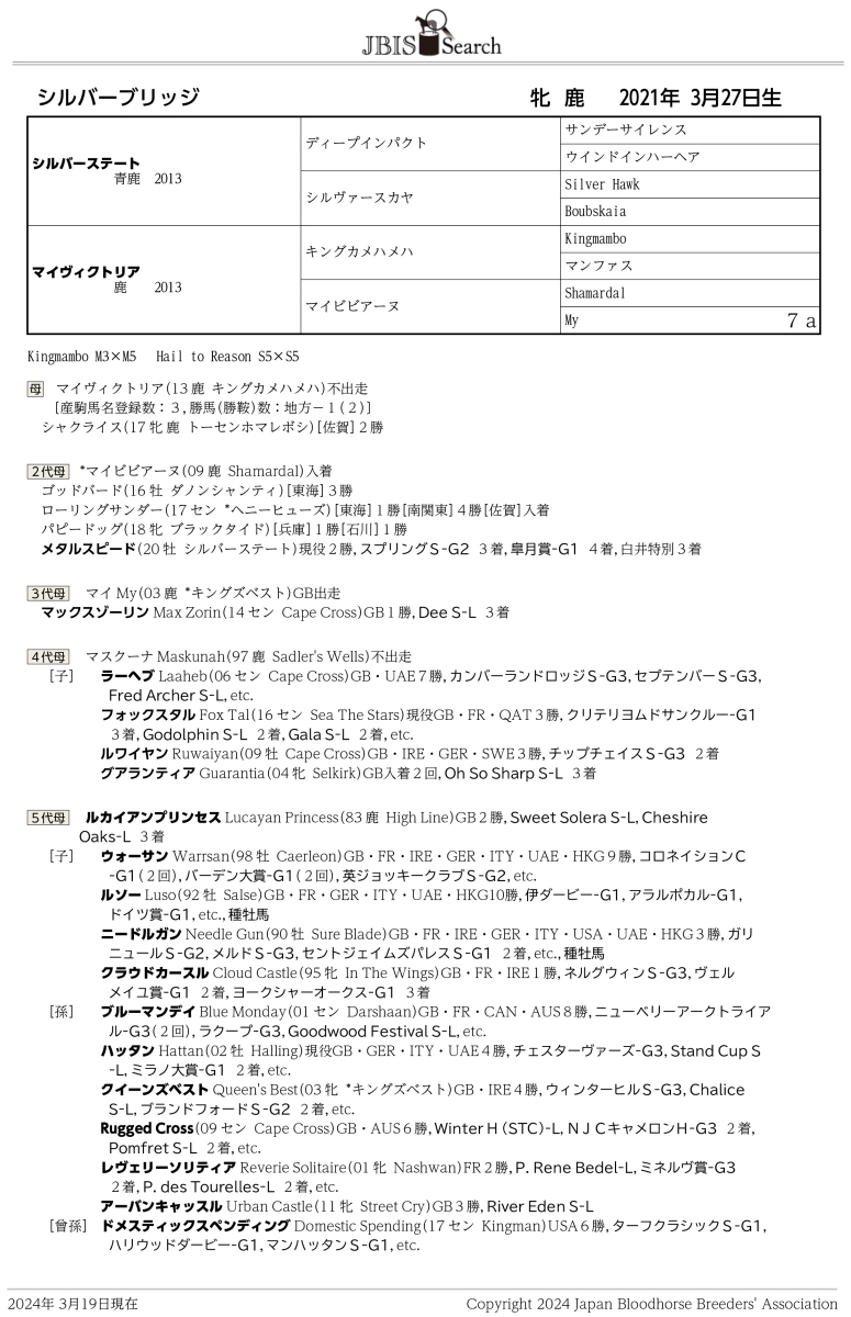 シルバーブリッジ 牝3歳 ※中央競馬 登録抹消 | サラブレッド