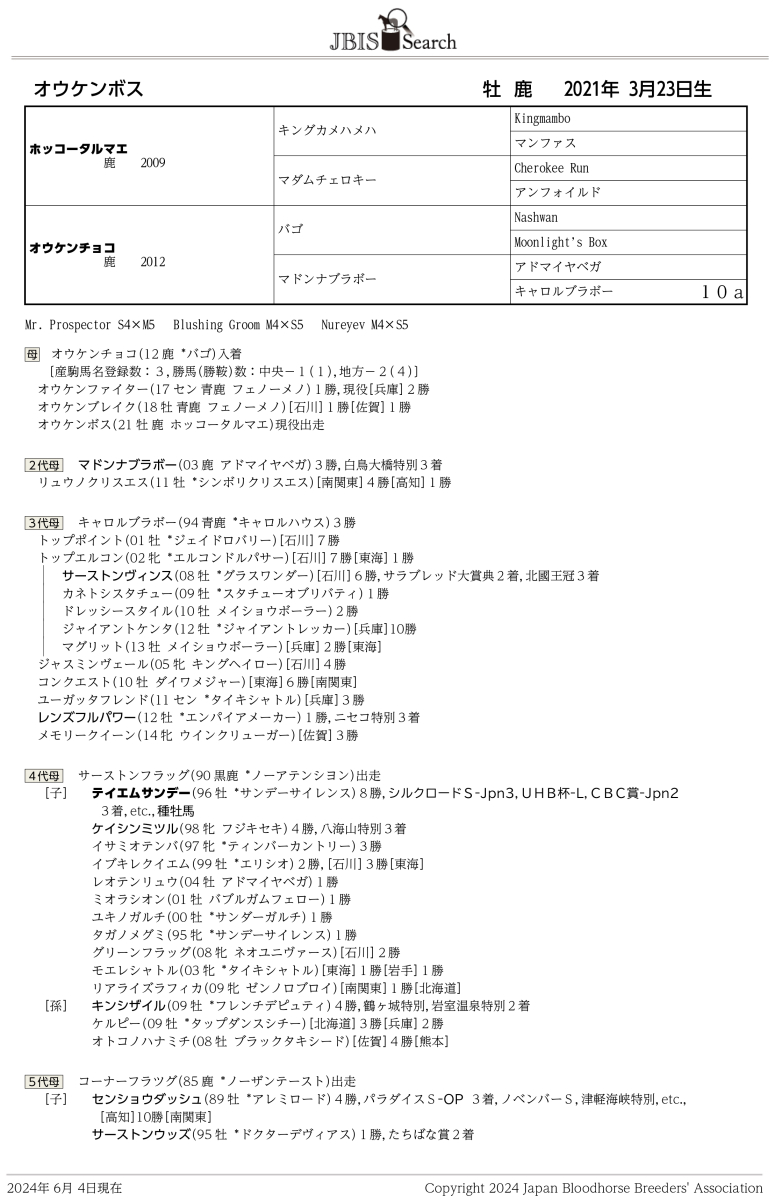 オウケンボス 牡３歳 ※中央競馬 登録抹消 | サラブレッドオークション