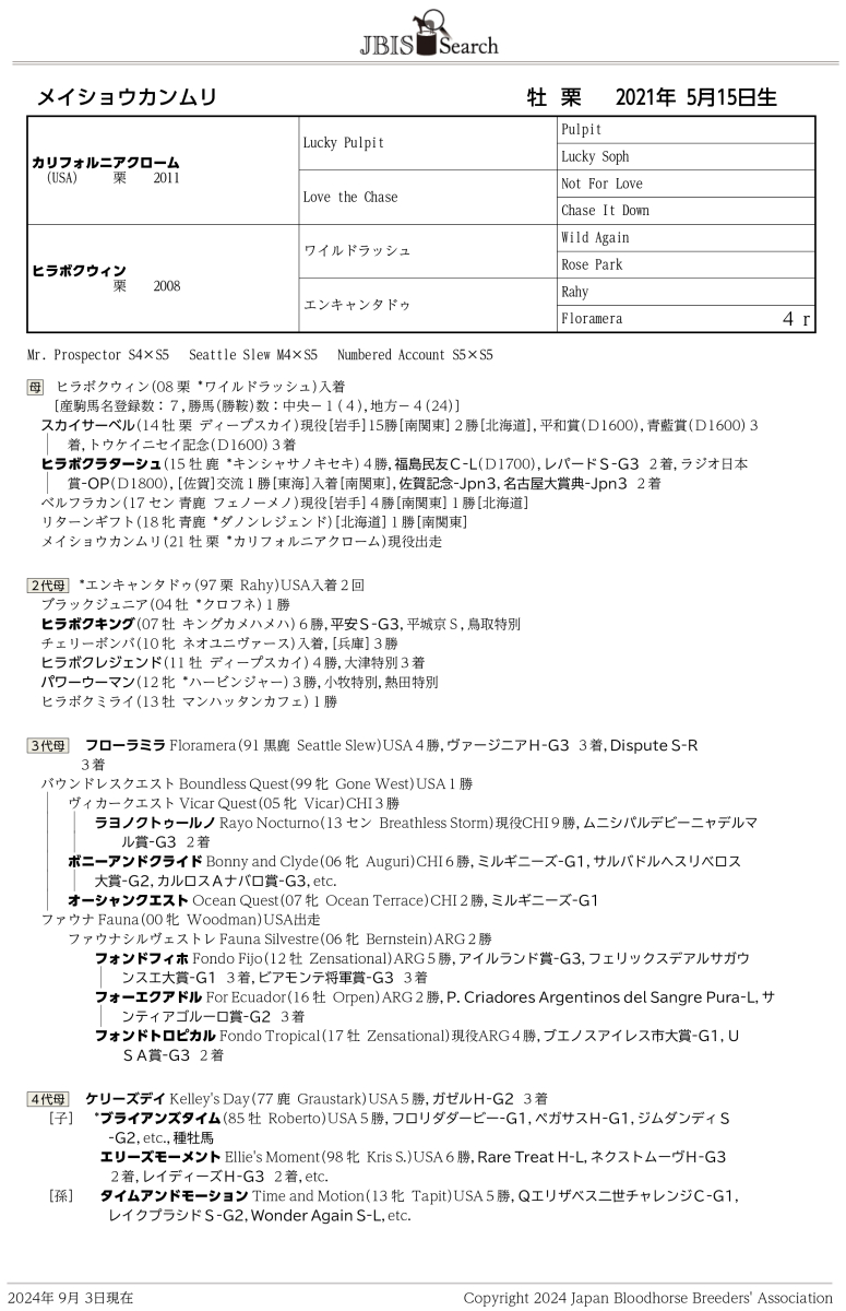 【中古】 競馬探偵Ｘ　Ｇ（グレード）レース完全推理帳/メタモル出版/競馬探偵Ｘ 競走馬REAL STEEL 出資者限定写真集 - メルカリ