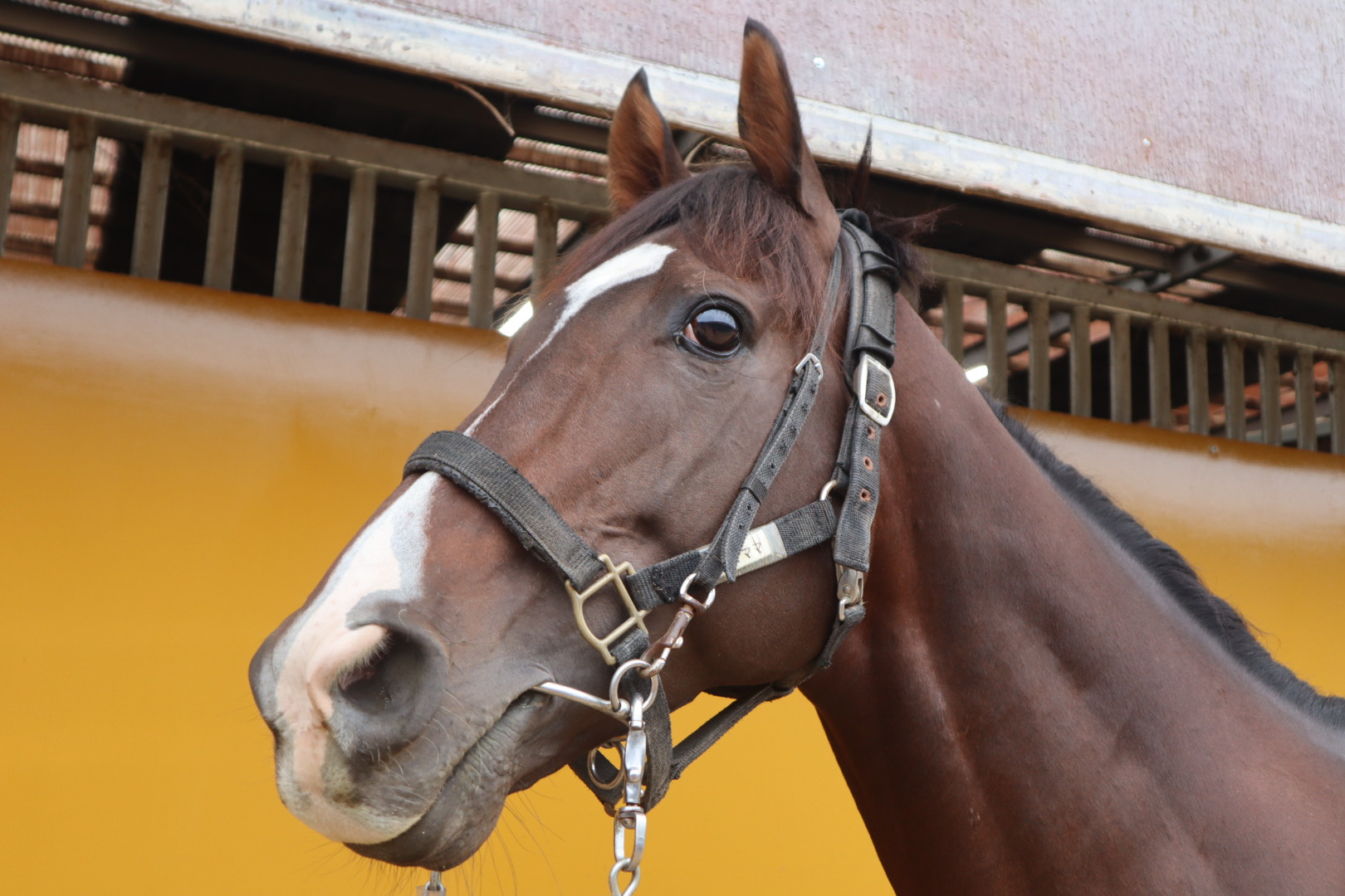 中古】 競馬に勝つためのお作法86/朝日ソノラマ/競馬サークル