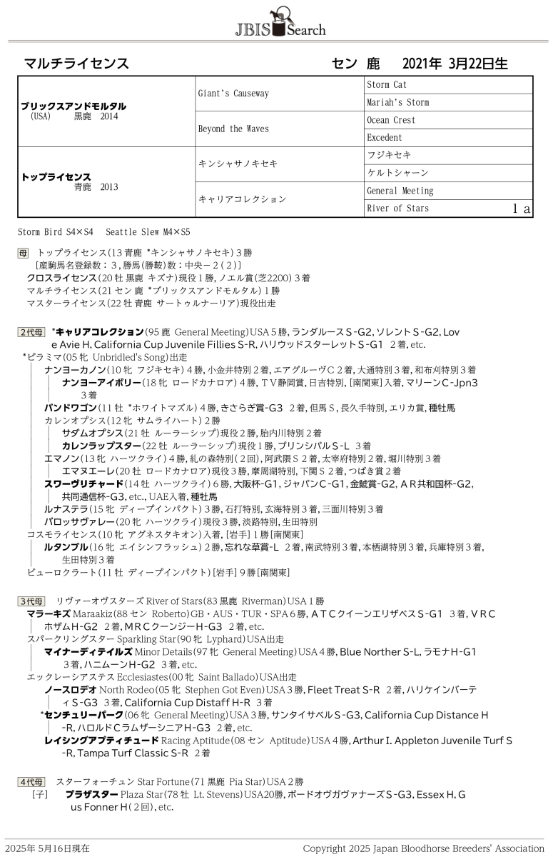 休日限定 マルチライセンス セン4歳 ※中央競馬 登録抹消 | サラブレッド 趣味・スポーツ・実用
