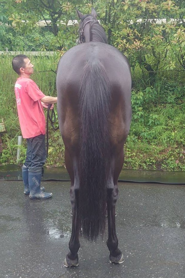 超希少 安曇野白鯨トリプルヘッド 観賞価値・資産価値ともに高いプレミア株 最安値】青眼の白龍 20thシークレット PSA10 WCS2018 Amazon.co