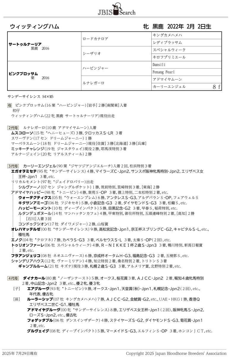 ウィッティングハム 牝3歳 ※中央競馬 登録抹消 | サラブレッド