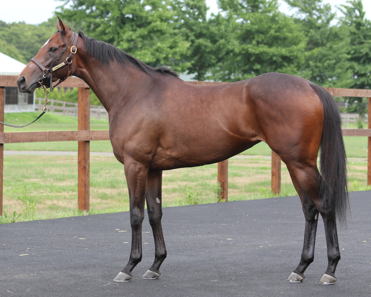 競馬資料バラ10冊まとめて 競馬資料バラ10冊まとめて 競馬王 2023年 10月号 | 競馬
