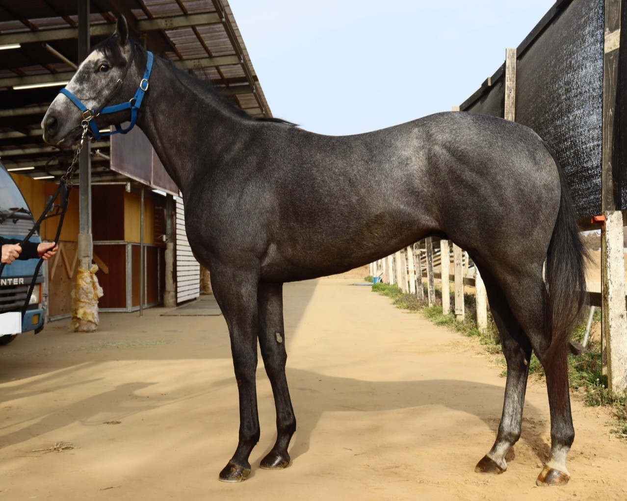 フライトマップ　　牡３歳　　※中央競馬　登録抹消_main1