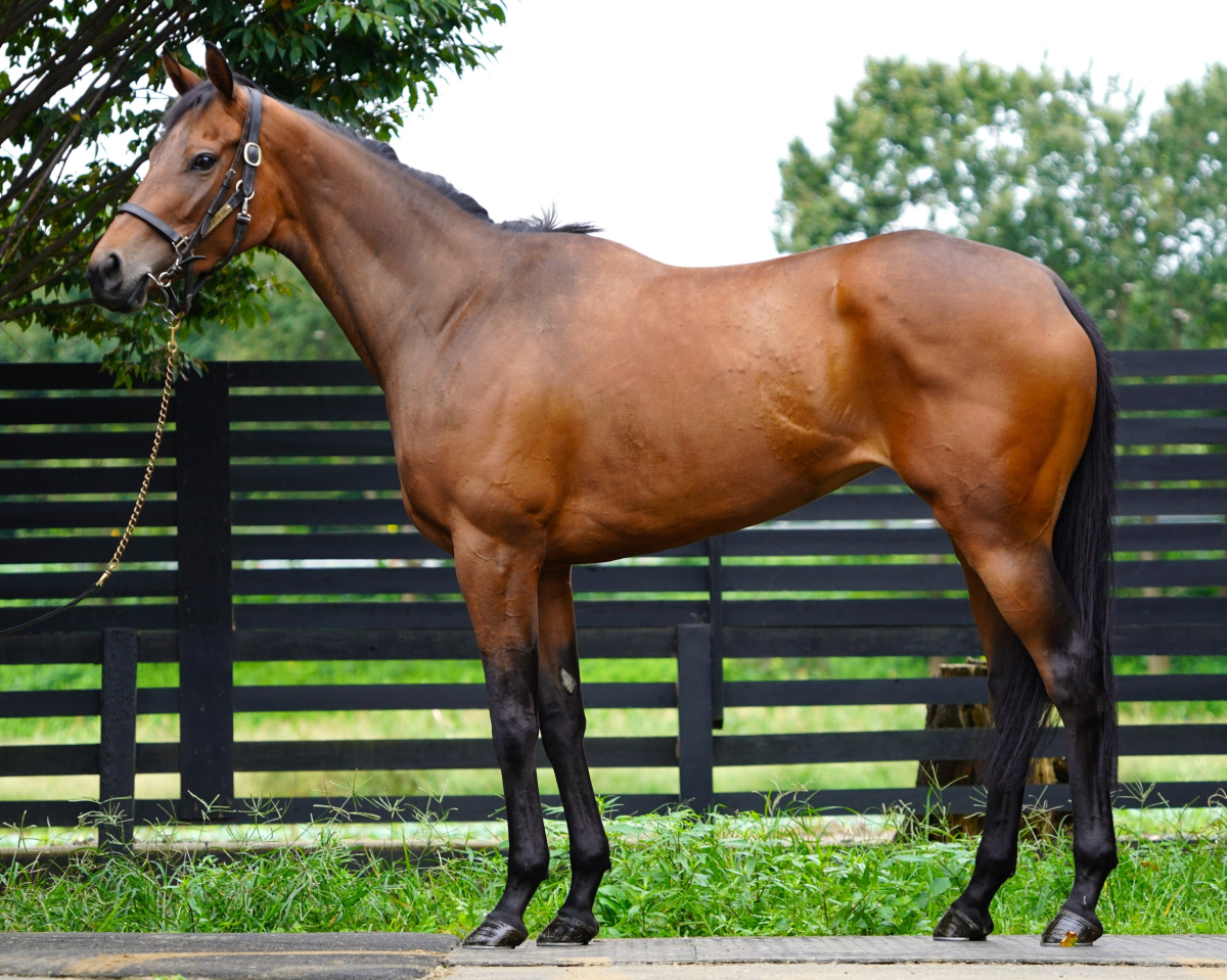 フロリメル　　牝３歳　　※中央競馬　登録抹消_main1