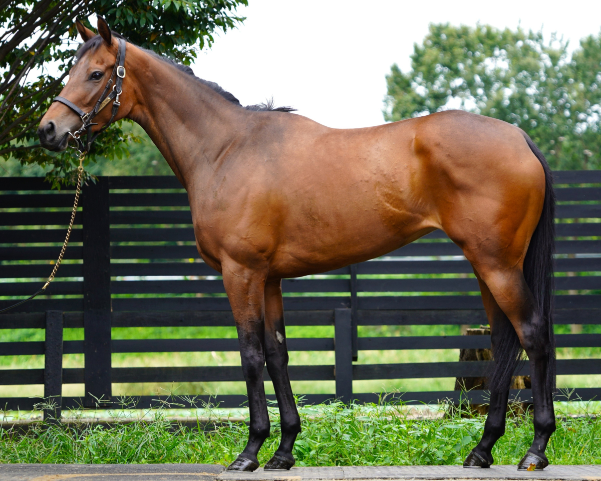 フロリメル　　牝３歳　　※中央競馬　登録抹消_main1