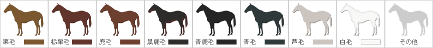 サンタンデールの競走馬情報 楽天競馬